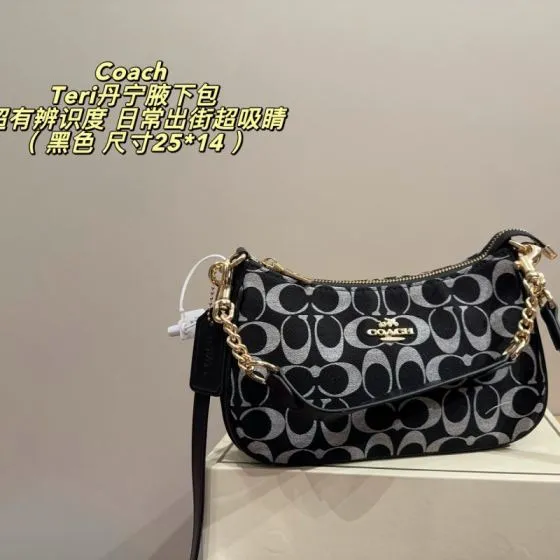Coach Teri Array 25 14cm shoulder 1 1 Replica
