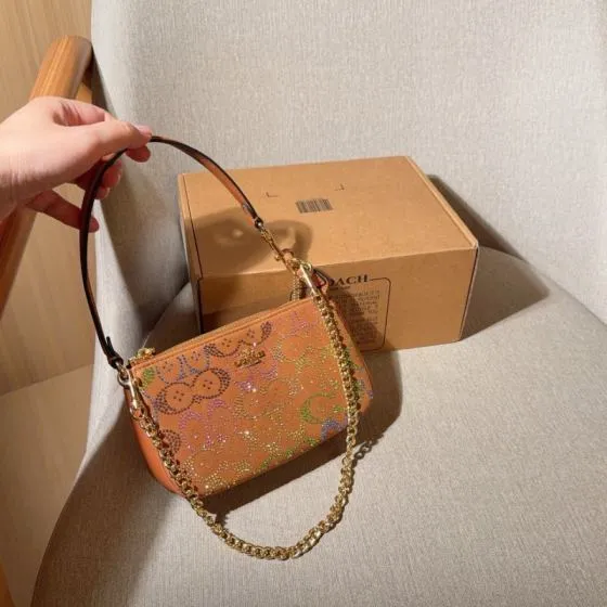 Coach Brown 18x12cm shoulder bag Premium Replica