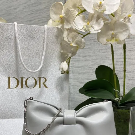 Dior Silver shoulder 1 1 Replica