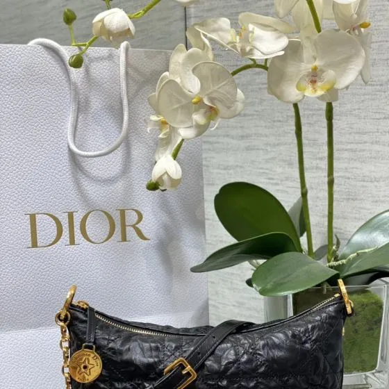 Dior Hobo Star Black crossbody Top Quality Replica