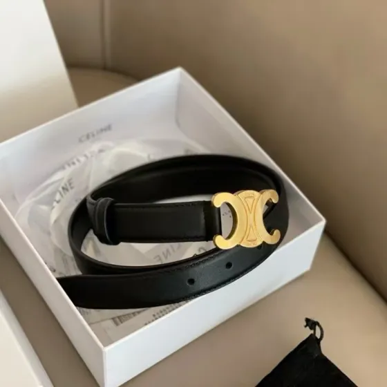 Celine everyday AAA Quality Replica