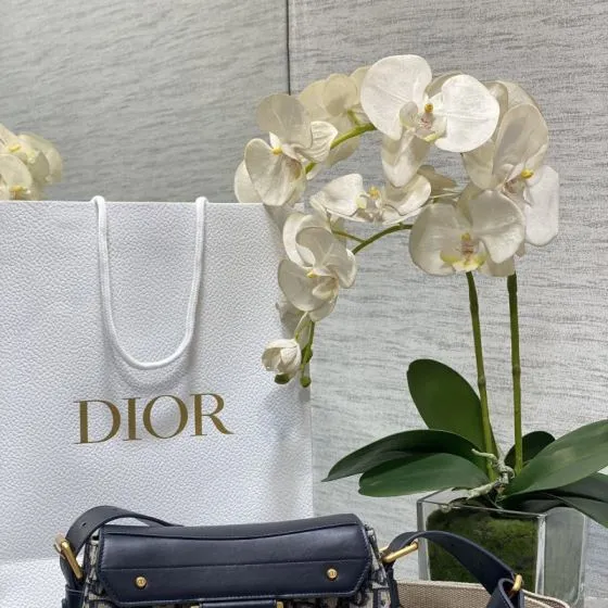 Dior New Street Chic Blue Oblique and Navy Leather crossbody AAA Quality Replica