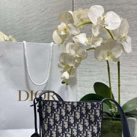 Dior Dioriviera Bucket Bag Blue Oblique crossbody 1 1 Replica