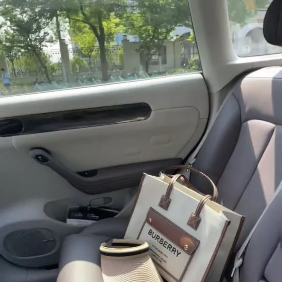 Burberry Horseferry Beige canvas with brown leather trim 33x28x15cm tote bag Top Quality Replica