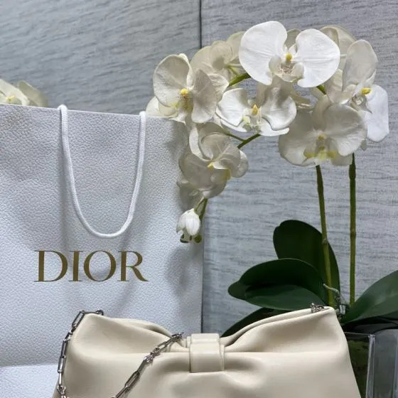 Dior Beige shoulder Top Quality Replica