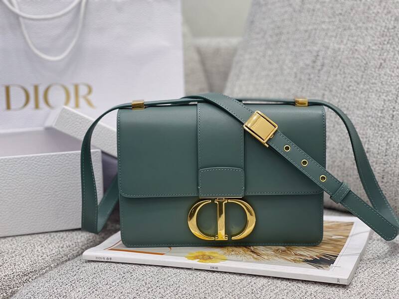 Celine everyday — Premium Replica