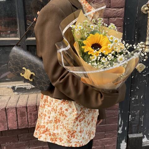 Celine Triomphe shoulder bag 1 1 Replica