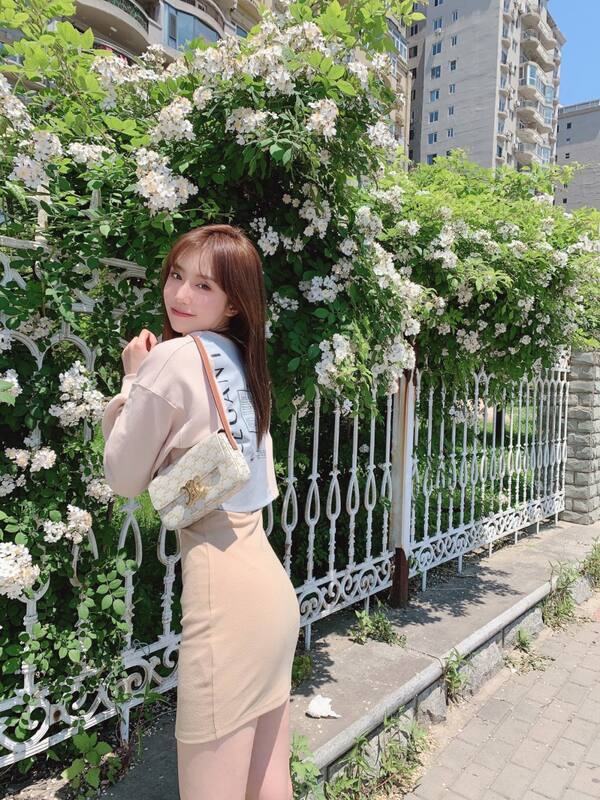 Celine Triomphe shoulder bag — 1:1 Replica