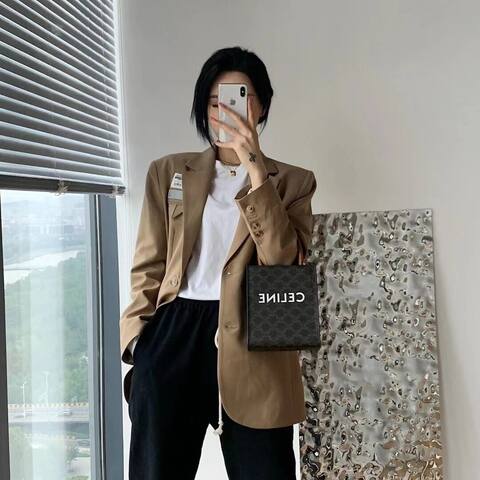Celine shoulder bag Premium Replica