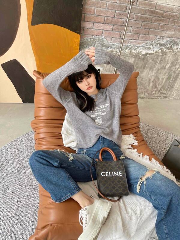 Celine shoulder bag — Premium Replica