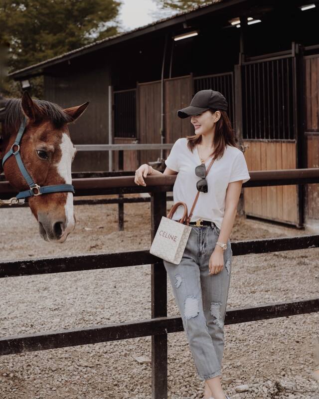Celine shoulder bag — AAA Quality Replica