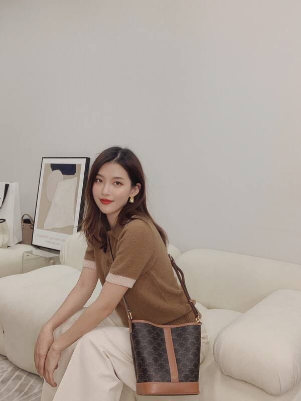 Celine shoulder bag — Premium Replica