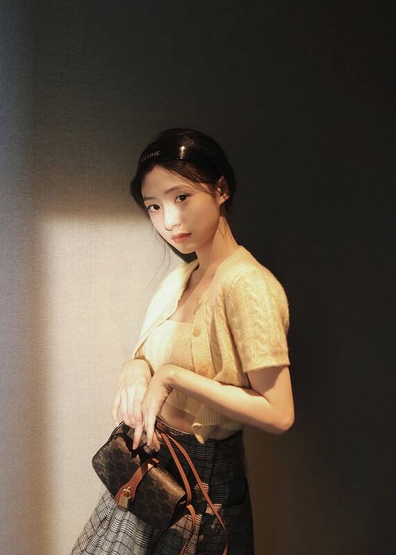 Celine TRIOMPHE shoulder bag — AAA Quality Replica
