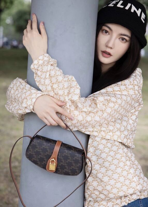 Celine TRIOMPHE shoulder bag — AAA Quality Replica