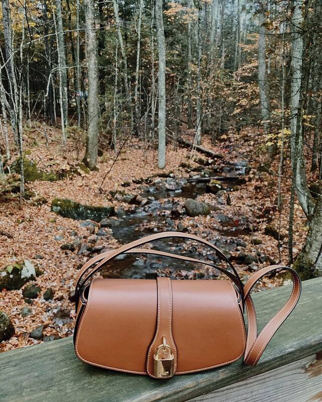 Celine TRIOMPHE shoulder bag — Premium Replica