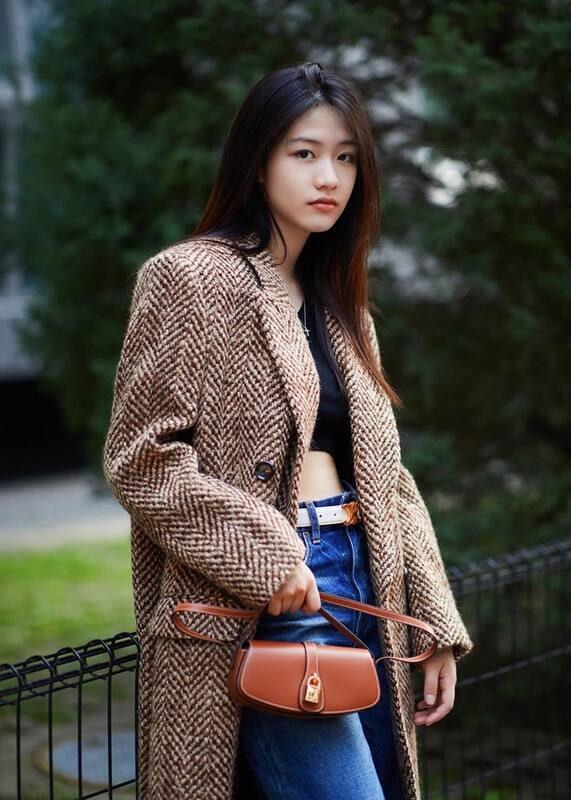 Celine TRIOMPHE shoulder bag — Premium Replica