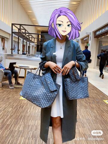 Goyard Black 18x12cm shoulder bag 1 1 Replica