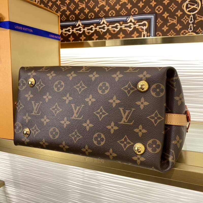 Louis Vuitton M46203 Monogram everyday — 1:1 Replica
