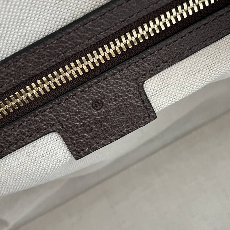 Gucci Ophidia GG Supreme Beige Ebony with Brown Leather travel — Top Quality Replica