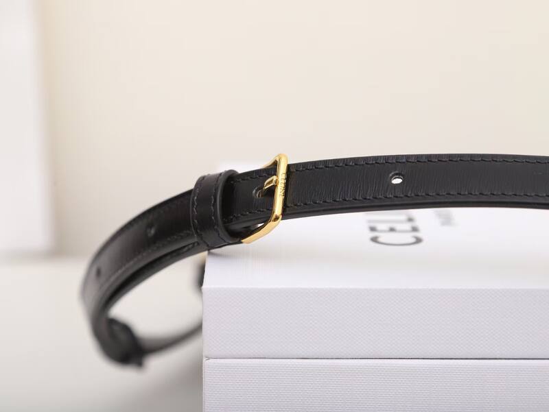 Celine shoulder bag — Top Quality Replica