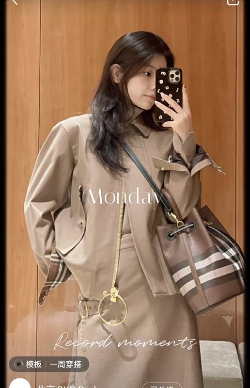 Burberry Brown shoulder bag — AAA Quality Replica