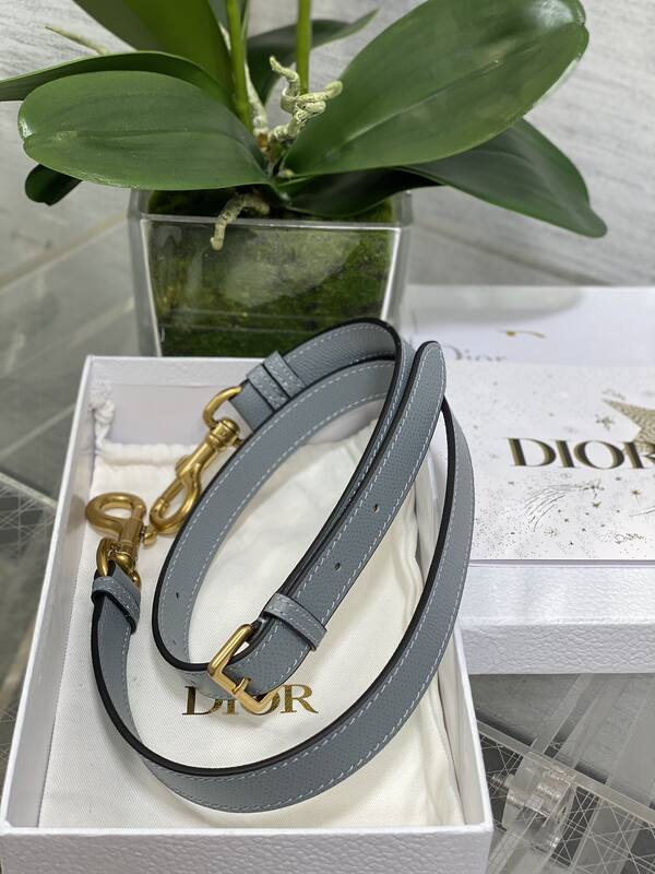 Dior Saddle Light Grey shoulder — 1:1 Replica