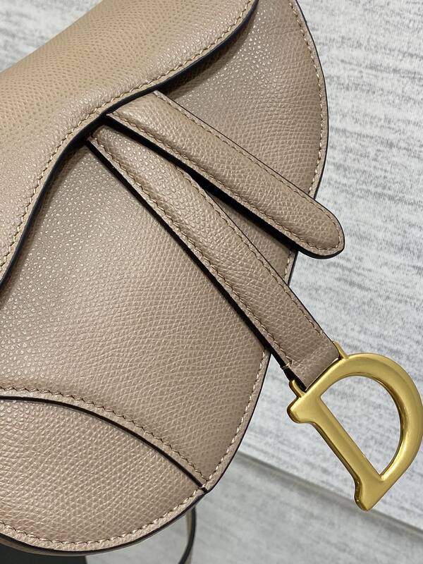 Dior Taupe Beige leather crossbody — AAA Quality Replica