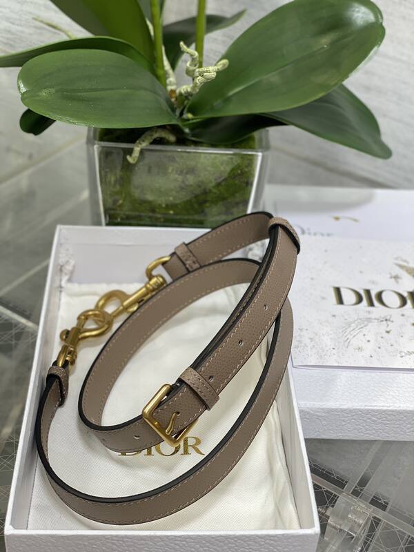 Dior Taupe Beige leather crossbody — AAA Quality Replica