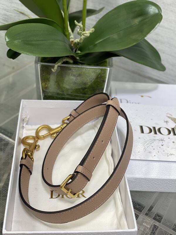Dior Saddle Beige crossbody — 1:1 Replica