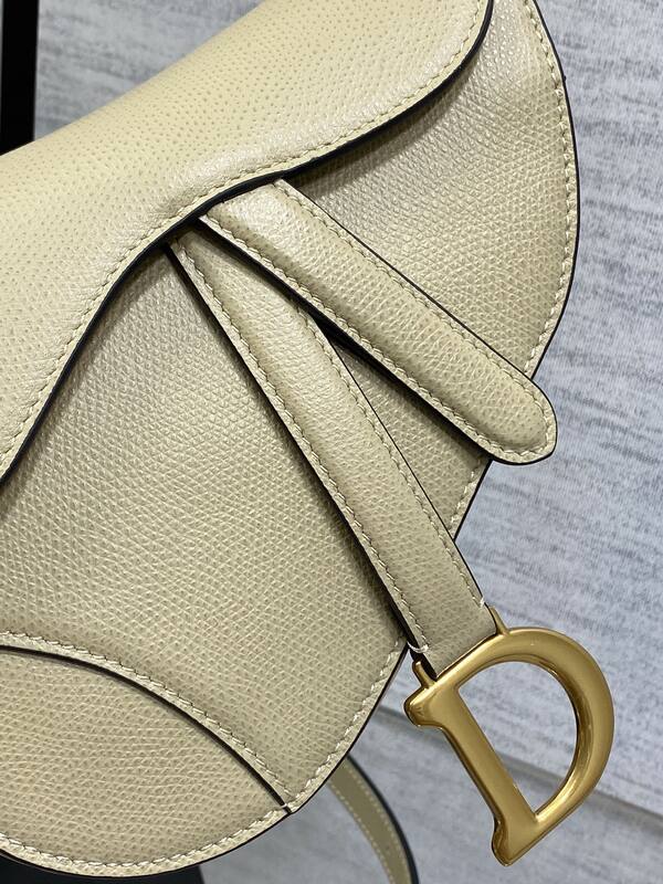 Dior Saddle Beige crossbody — AAA Quality Replica