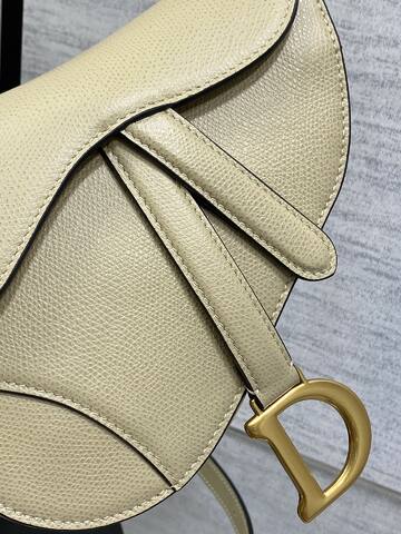 Dior Saddle Beige crossbody AAA Quality Replica