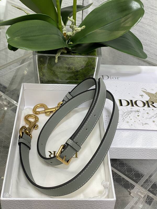 Dior Saddle Grey shoulder — AAA Quality Replica