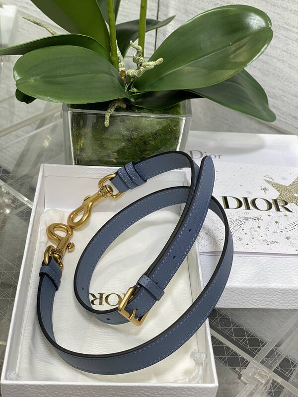 Dior Saddle Blue shoulder — Top Quality Replica