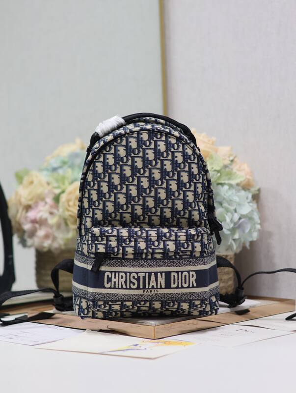 Dior DiorTravel Blue Oblique travel — 1:1 Replica