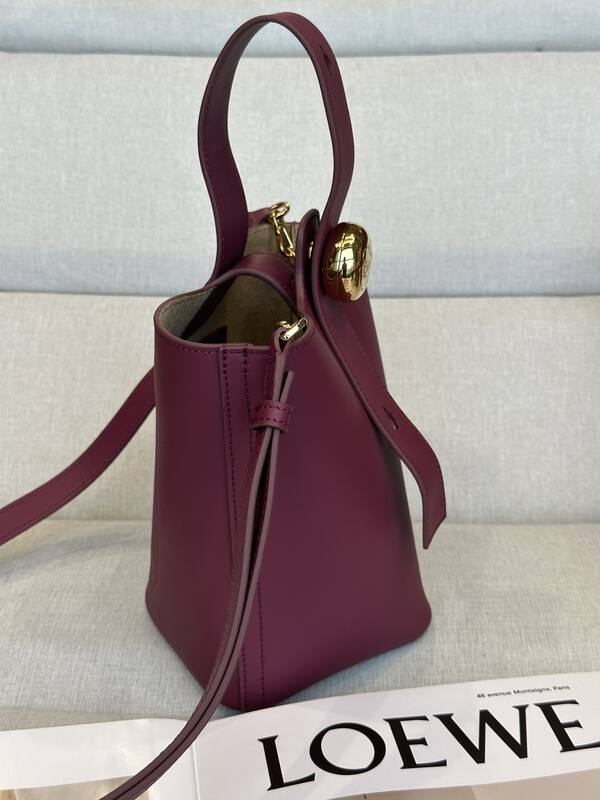 Loewe Calfskin shoulder bag — Premium Replica