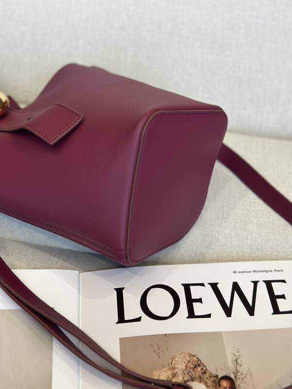Loewe Calfskin shoulder bag — Premium Replica