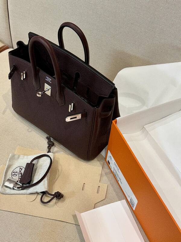 Hermes Birkin 25 Rouge Sellier everyday — 1:1 Replica