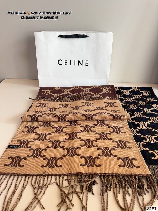 Celine everyday — Premium Replica