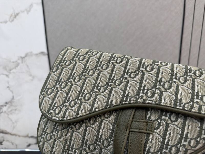 Dior Saddle Beige and olive Oblique jacquard crossbody — 1:1 Replica