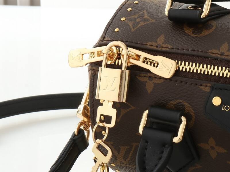 Louis Vuitton Speedy 20 Monogram 20 crossbody — 1:1 Replica