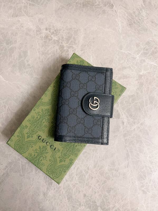 Gucci Ophidia Blue GG Supreme everyday — Premium Replica