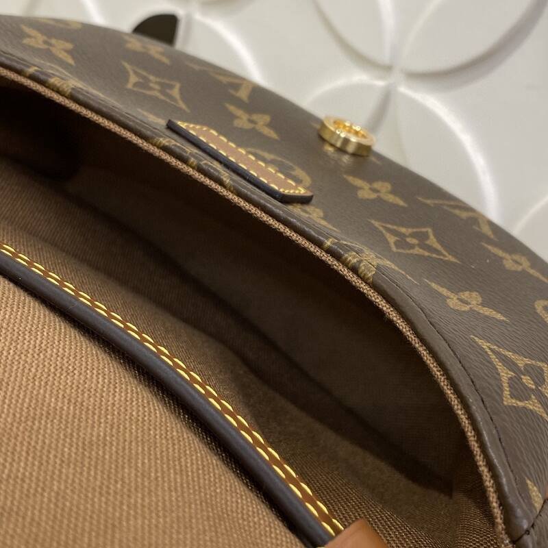 Louis Vuitton Duo Monogram BB crossbody — Premium Replica