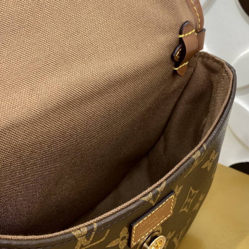 Louis Vuitton Duo Monogram BB crossbody — Premium Replica