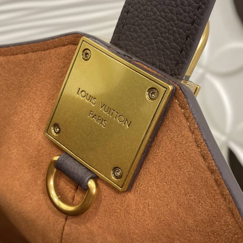 Louis Vuitton M24856 Brown Purple leather everyday — Premium Replica