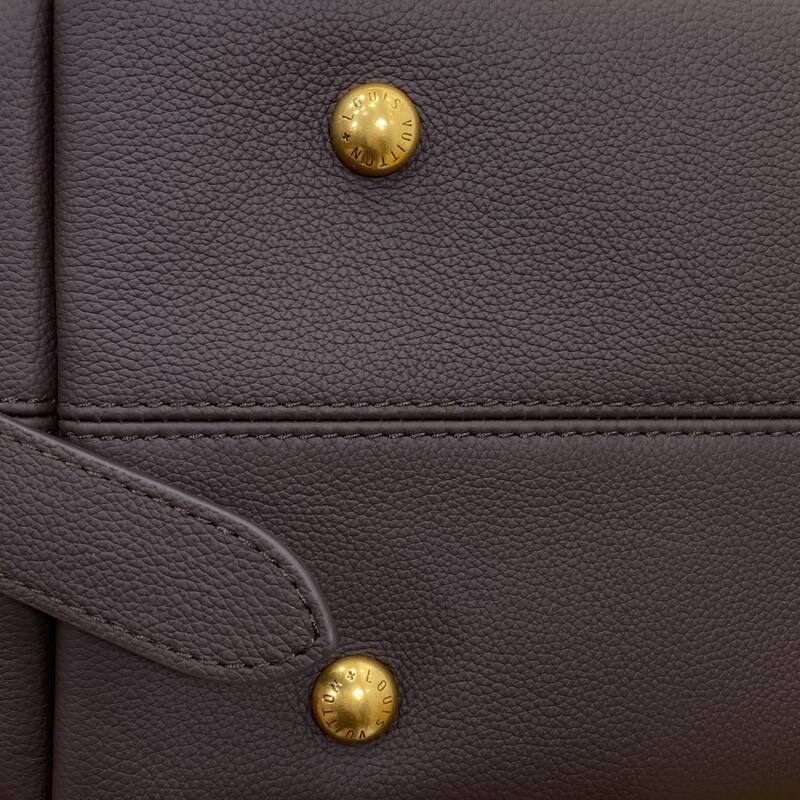 Louis Vuitton M24856 Brown Purple leather everyday — Premium Replica