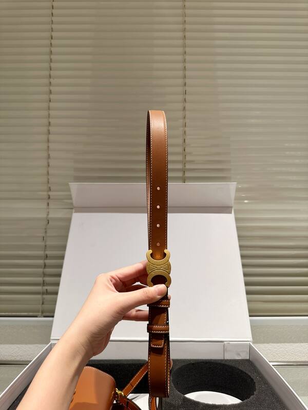 Celine everyday — AAA Quality Replica