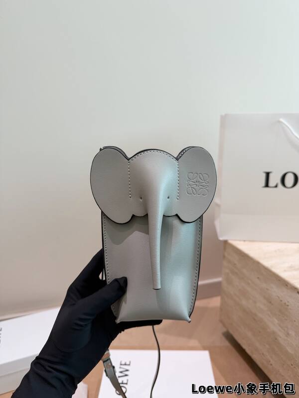 Loewe Calfskin shoulder bag — Top Quality Replica