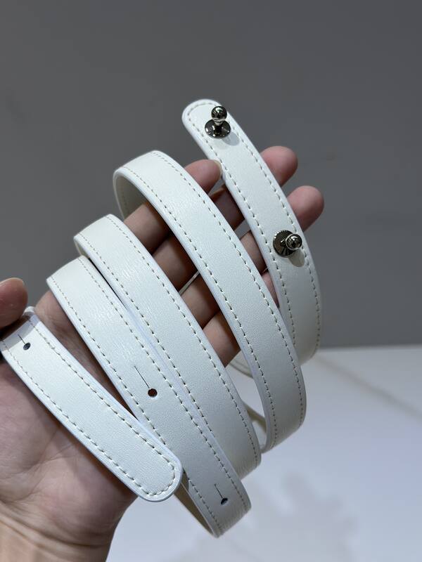 Delvaux White shoulder — Premium Replica