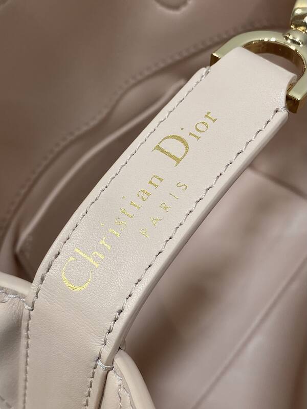 Dior Caro Pink crossbody — AAA Quality Replica