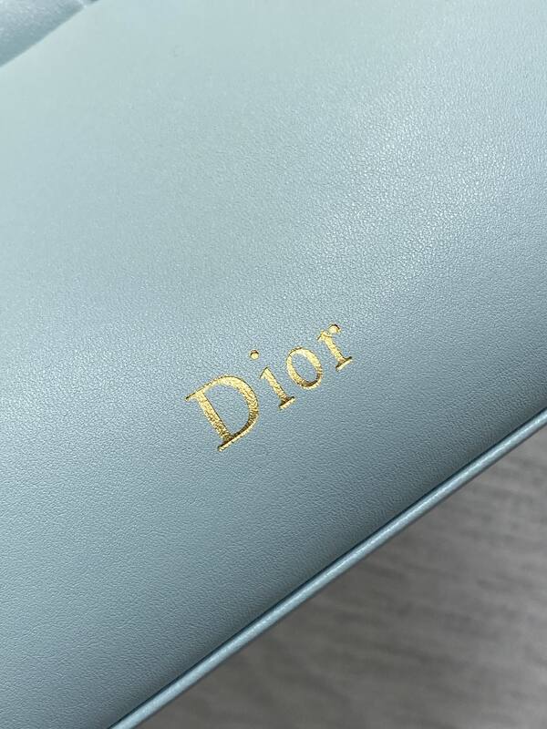 Dior Light Blue shoulder — Top Quality Replica